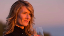 Renata Klein in Big Little Lies