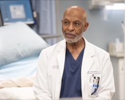 Richard Webber in Grey's Anatomy