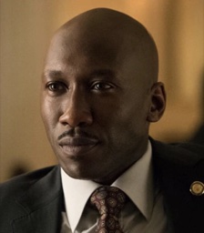 Remy Danton in House of Cards