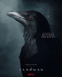 Matthew the Raven in The Sandman