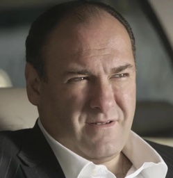Tony Soprano in The Sopranos